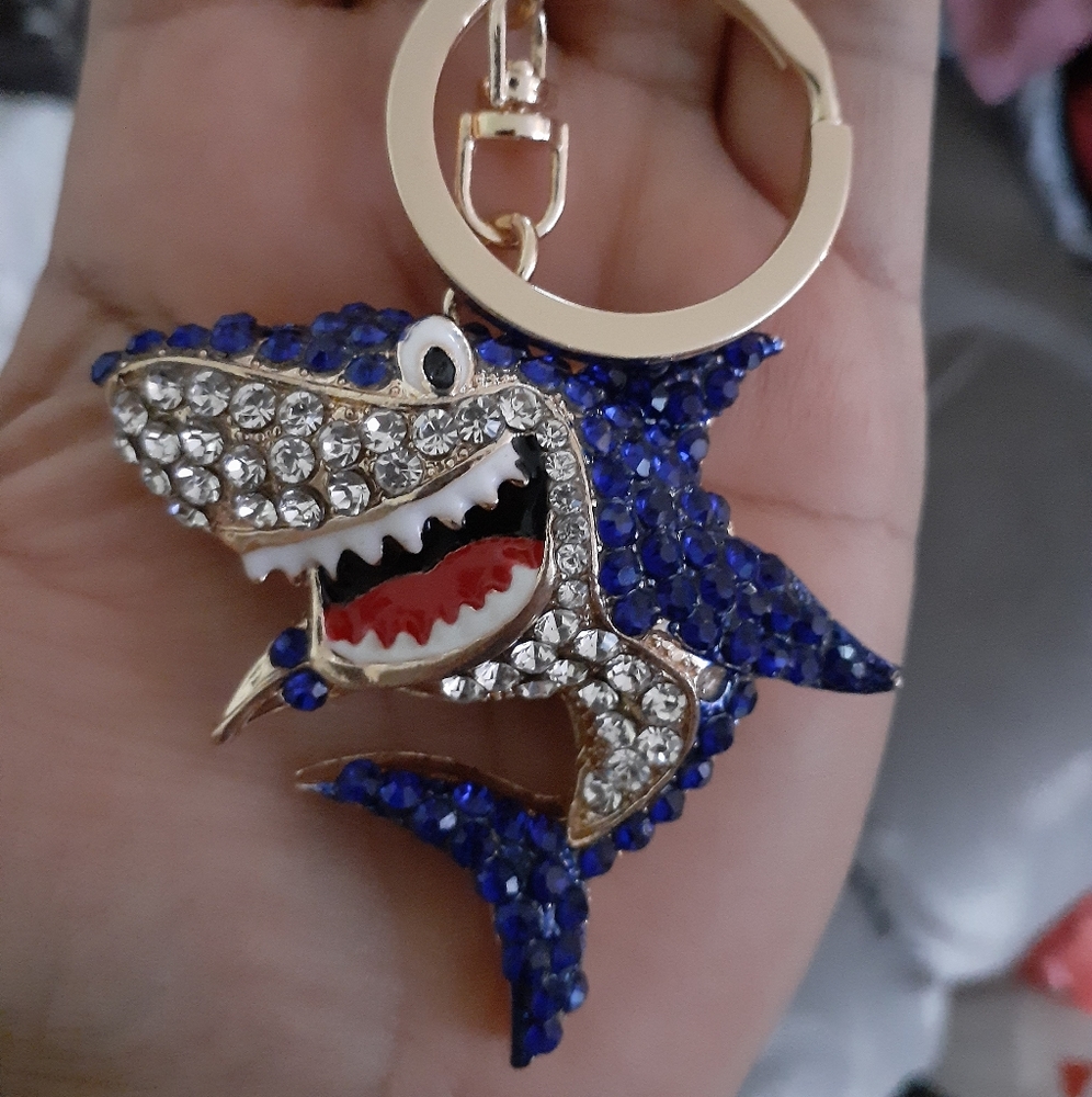 Key ring